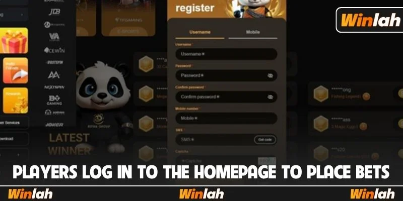 Players log in to the homepage to place bets